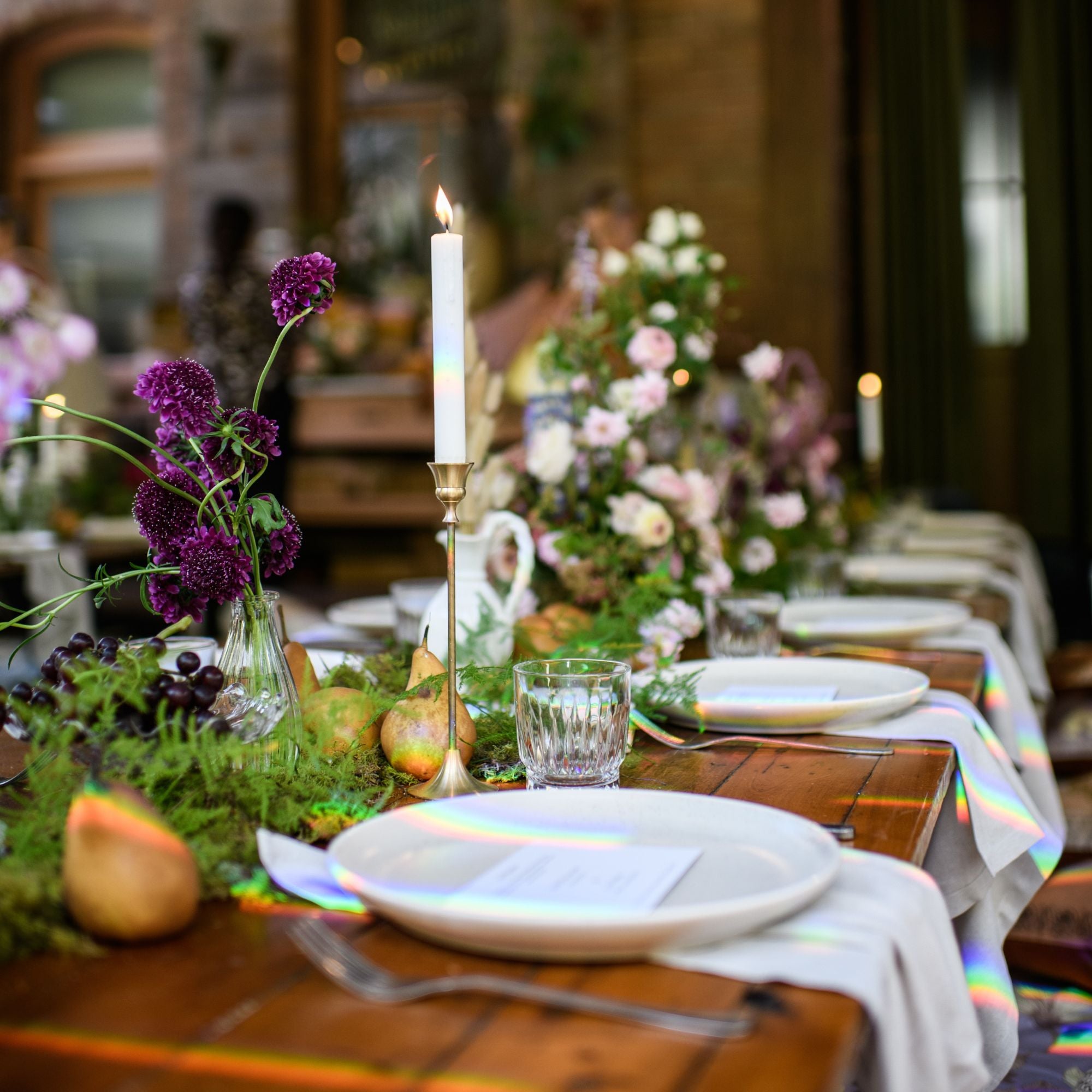 Wanderer's Picnic at the Grounds by Wandering Folk