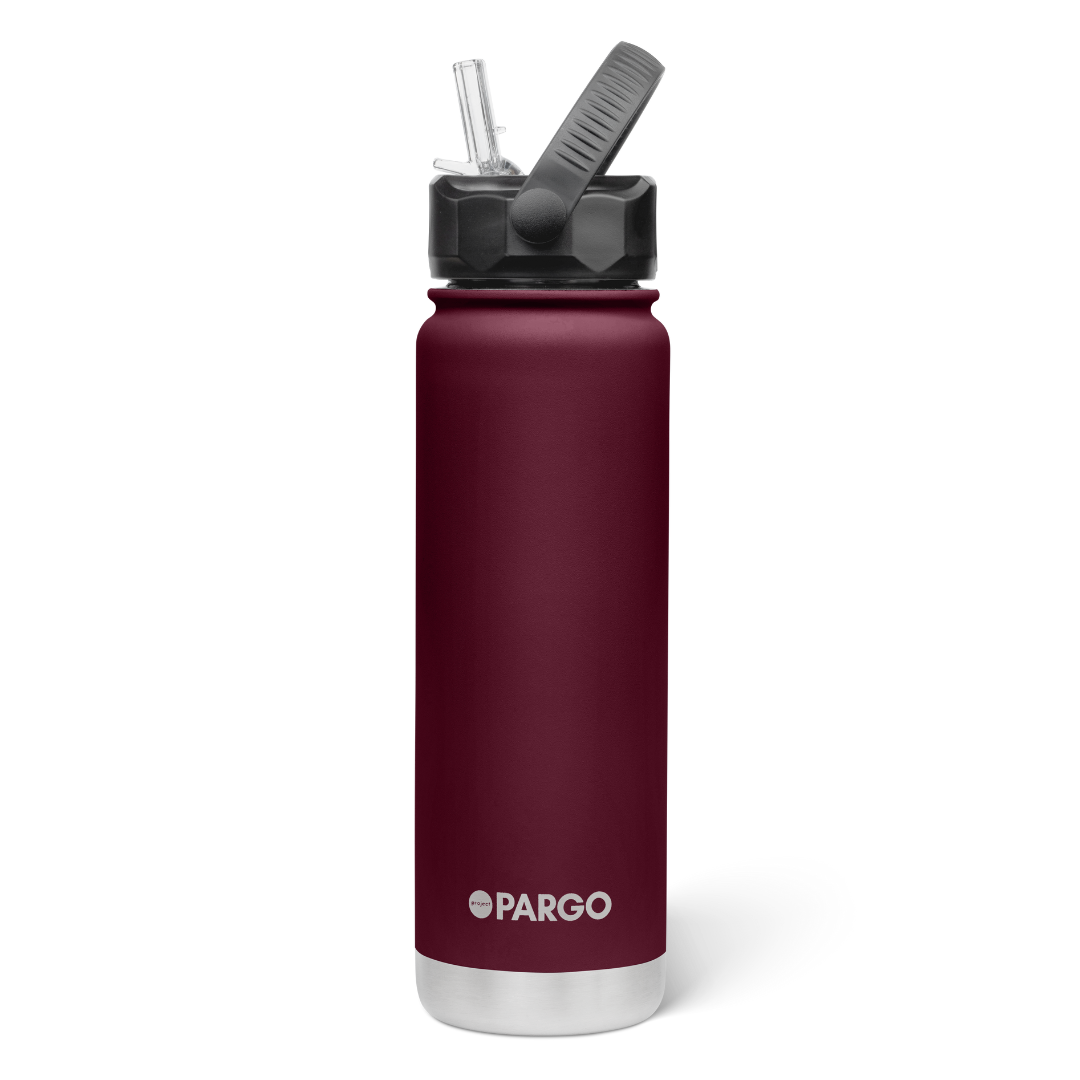 Project Pargo 750mL Insulated Bottle w/ Straw Lid
