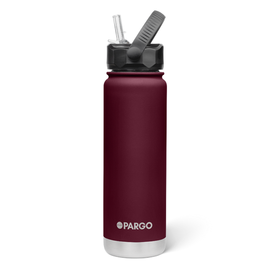 Project Pargo 750mL Insulated Bottle w/ Straw Lid